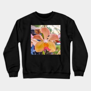 Vanda Orange Red Lip Orchid (Quarter Terete) Crewneck Sweatshirt